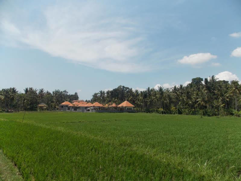 Villa Asri Sari Ubud (Bali)