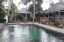 Wana Ukir 3* Ubud (Bali)