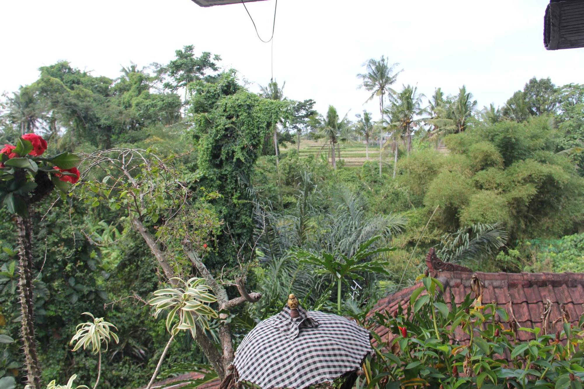 Ogek Wisma tamu *