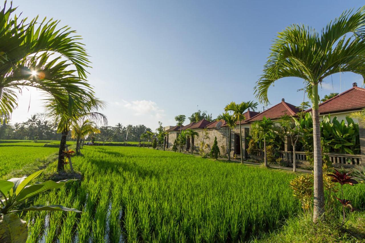 De Sawah Satoe Villa And Resort Holiday park Ubud (Bali)