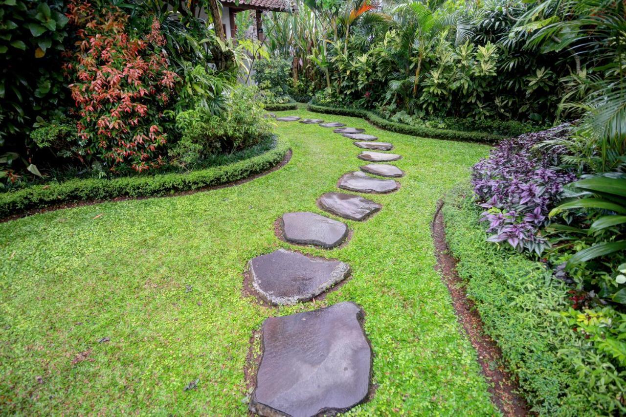 Bali Dream Tempat peranginan