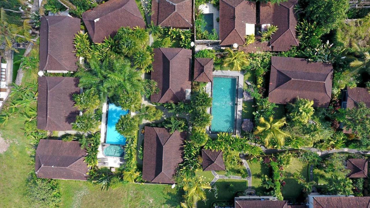 Bali Dream