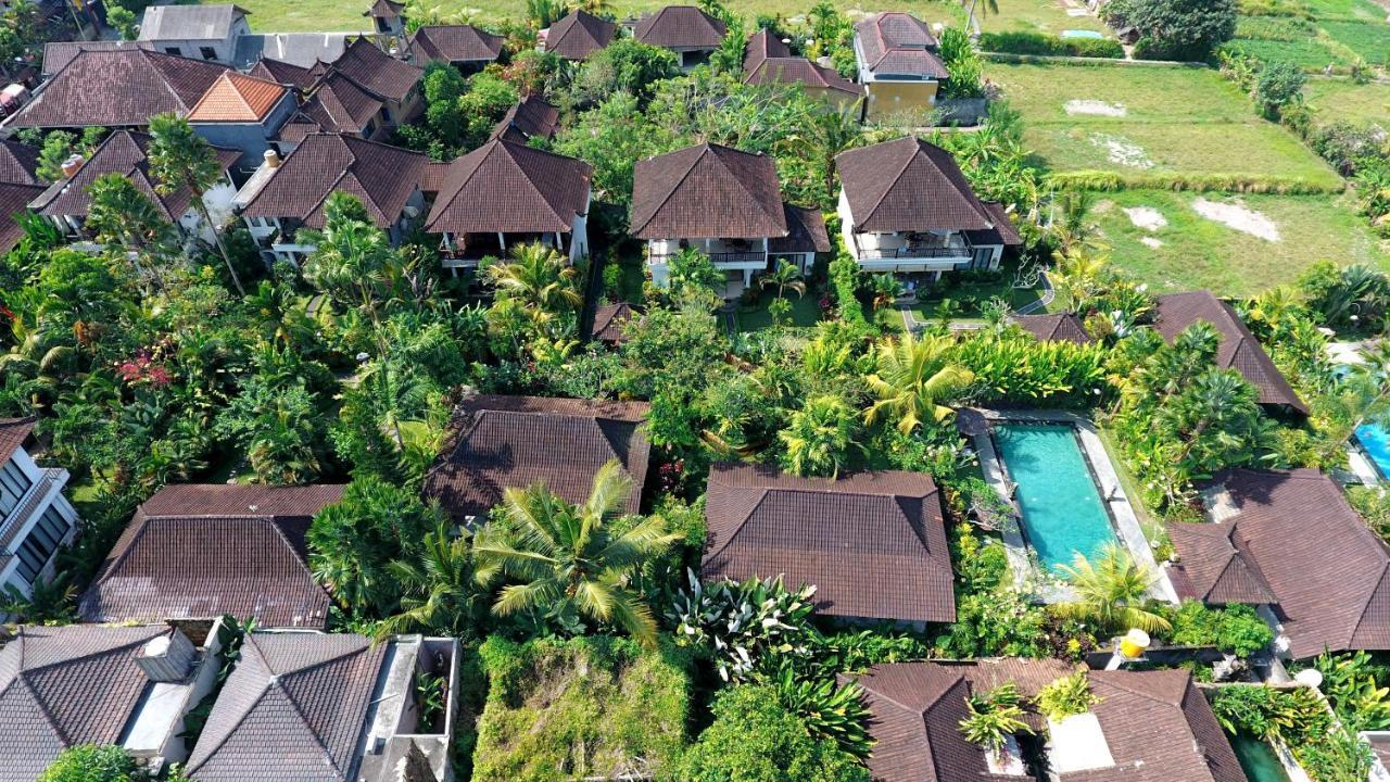 Bali Dream Tempat peranginan