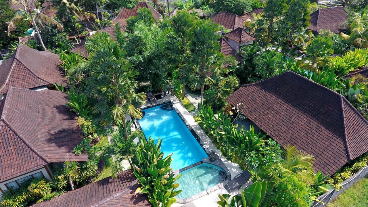Bali Dream