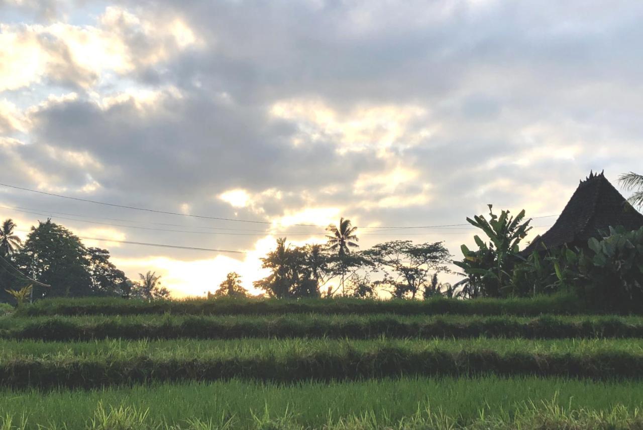 Villa Neyang Ubud (Bali)
