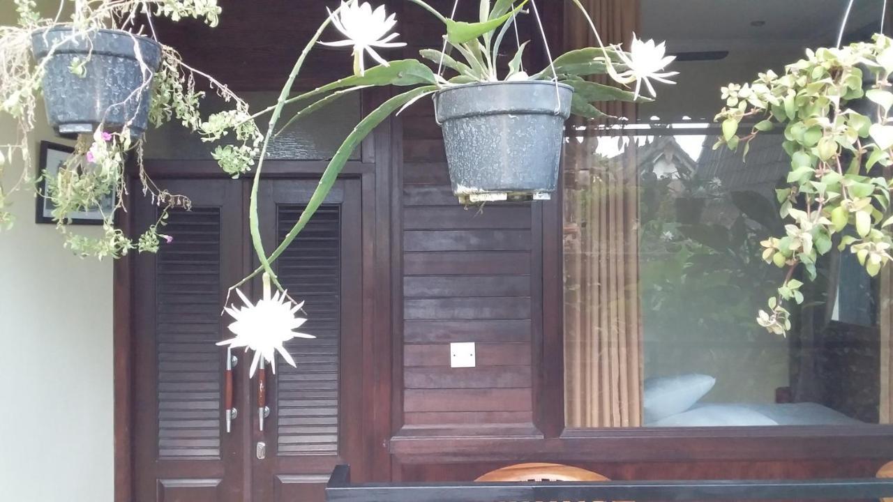 Suweta46 House Guest house *
