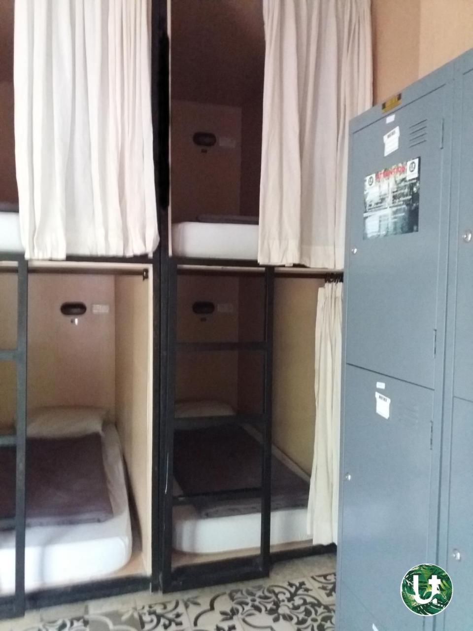 Tropical Hostel