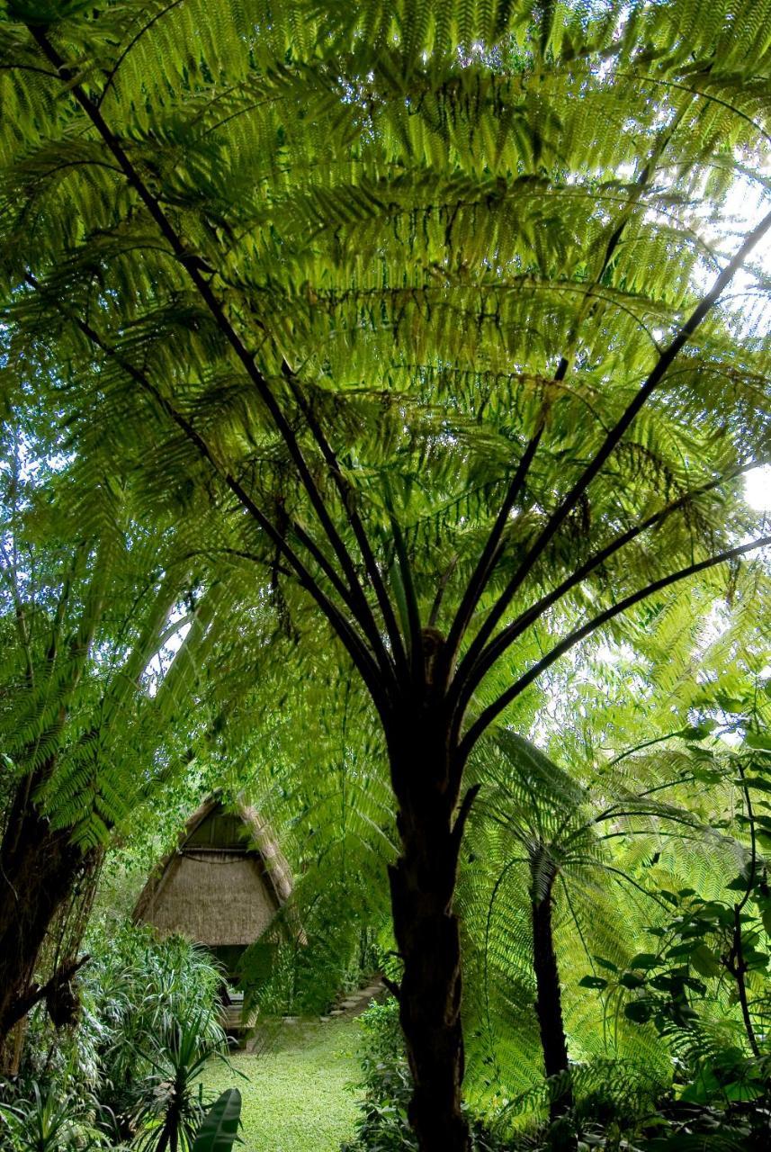 Melati Villa Ubud (Bali)