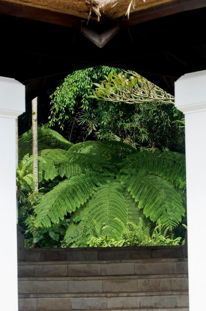 Melati Villa Ubud (Bali)