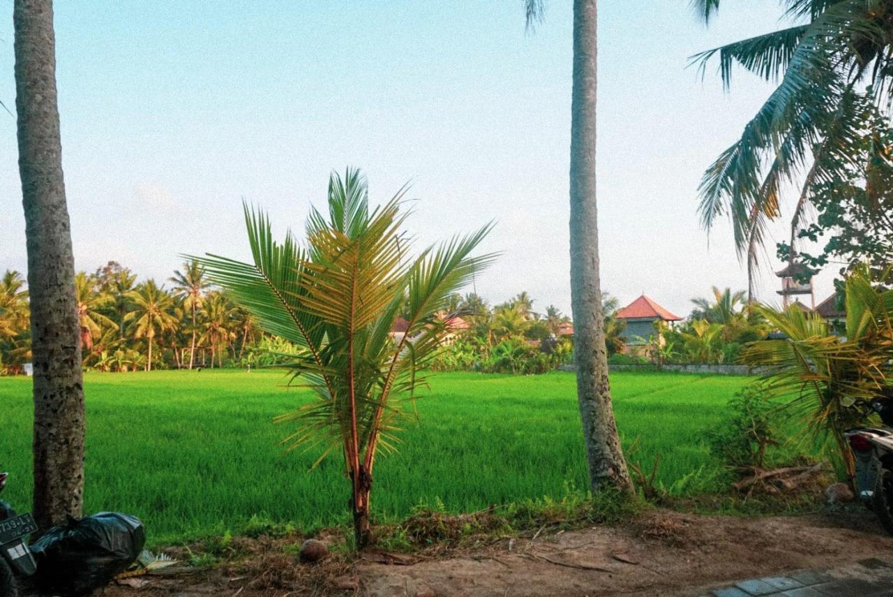 Restu House Ubud (Bali)