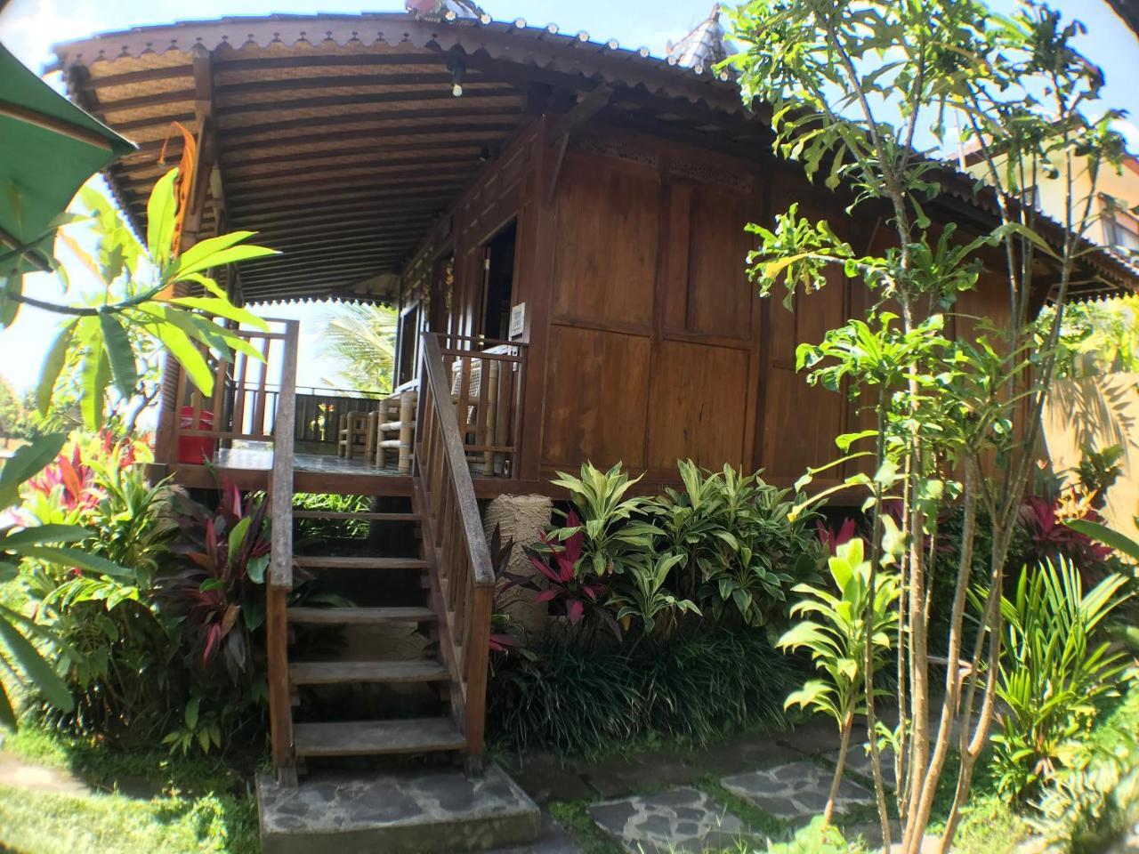 Paddy & * Ubud (Bali)