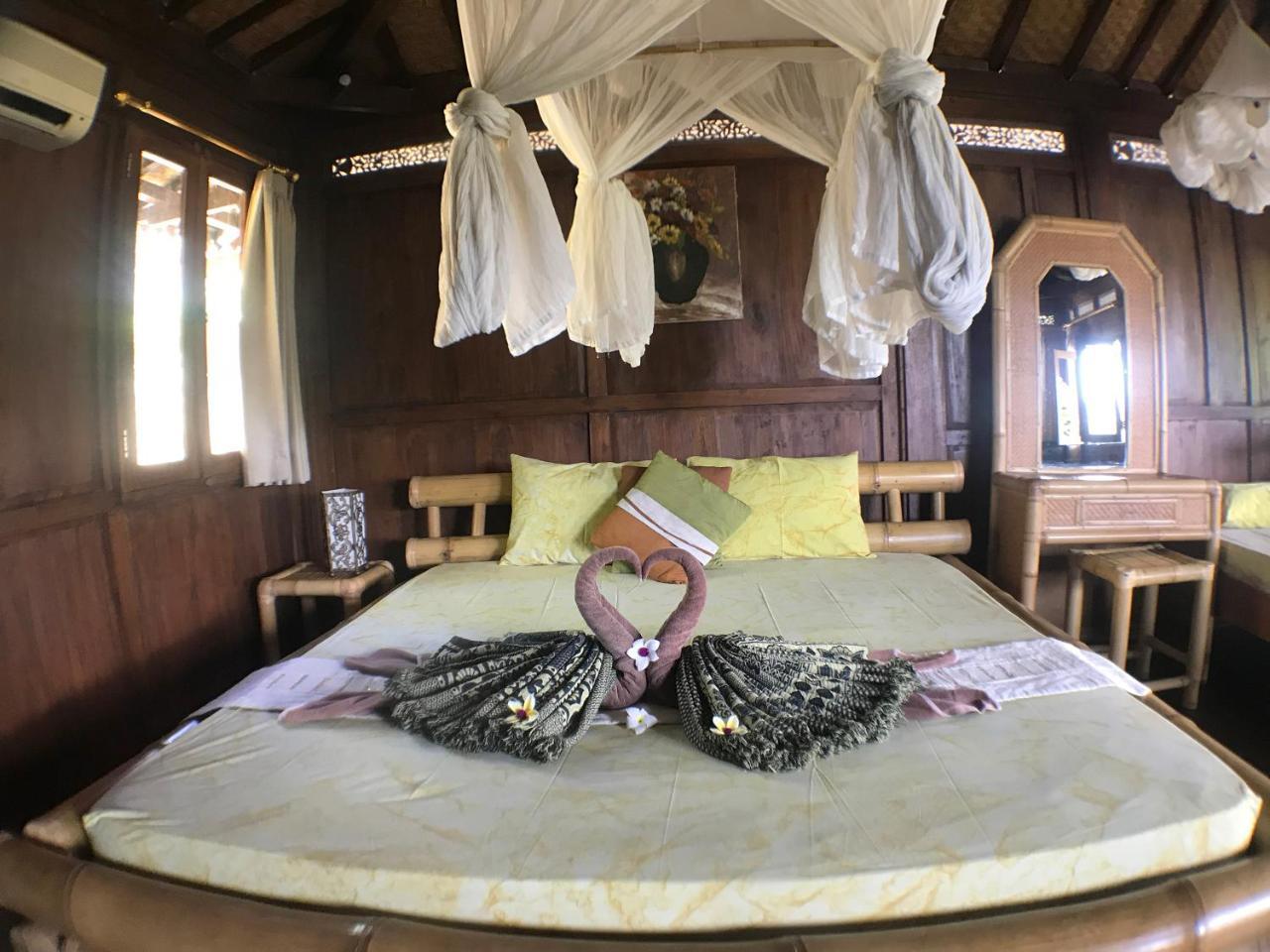 Albergue Paddy & *