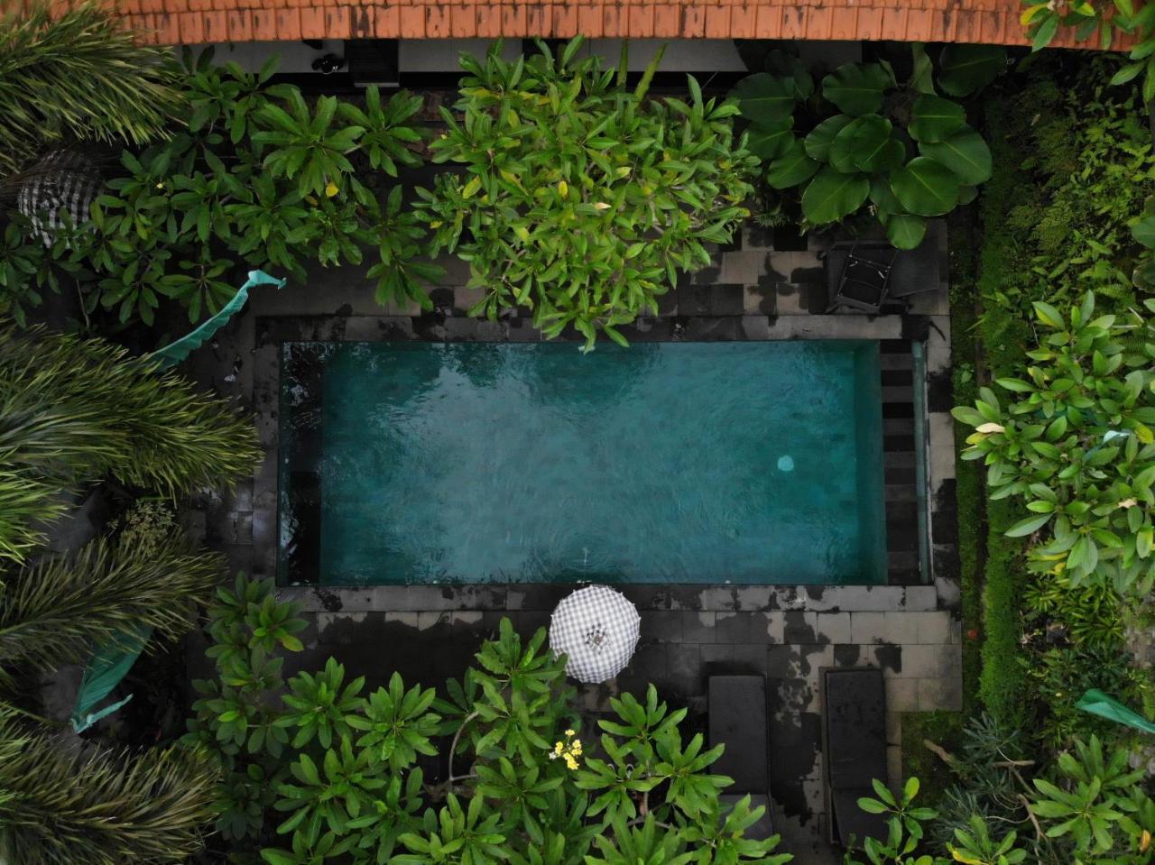 Jiwa's House