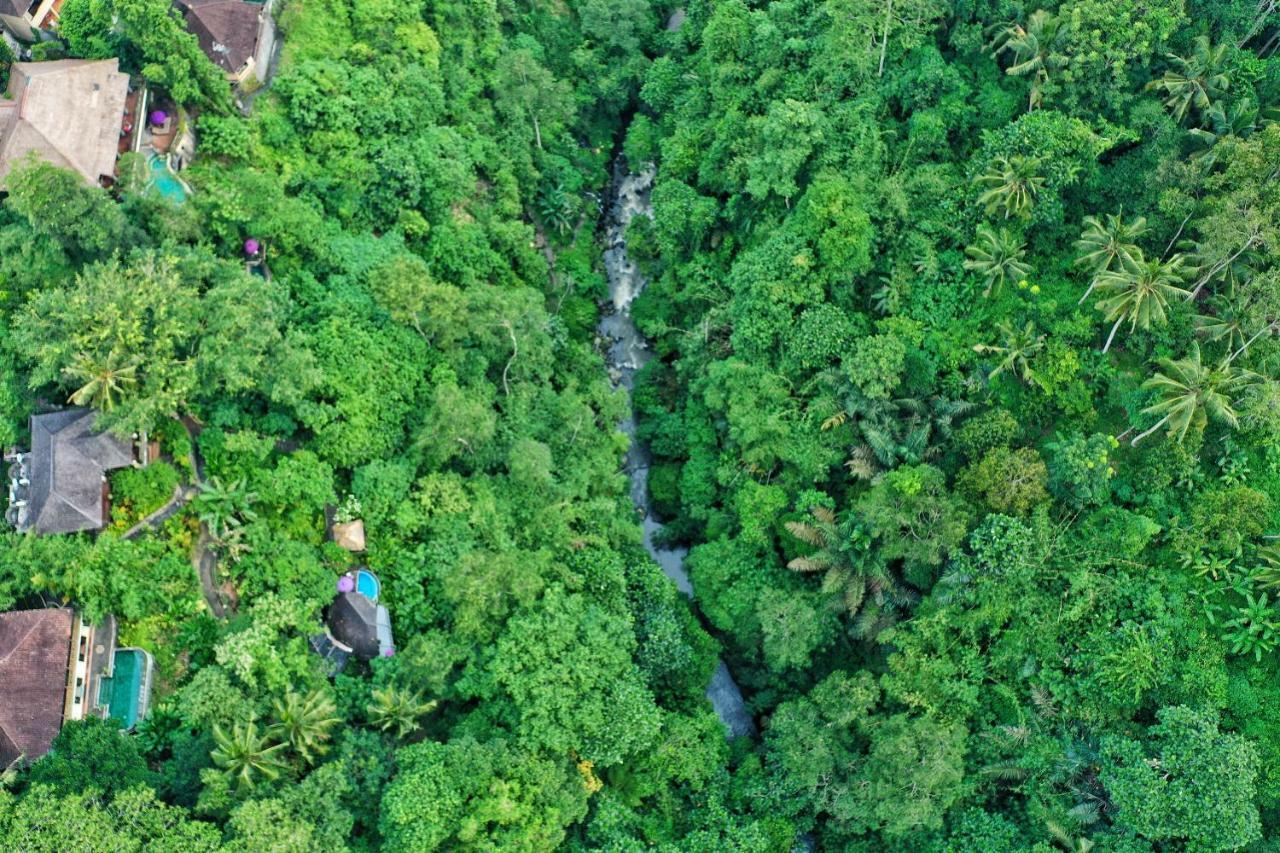 Awang Awang Villa Ubud