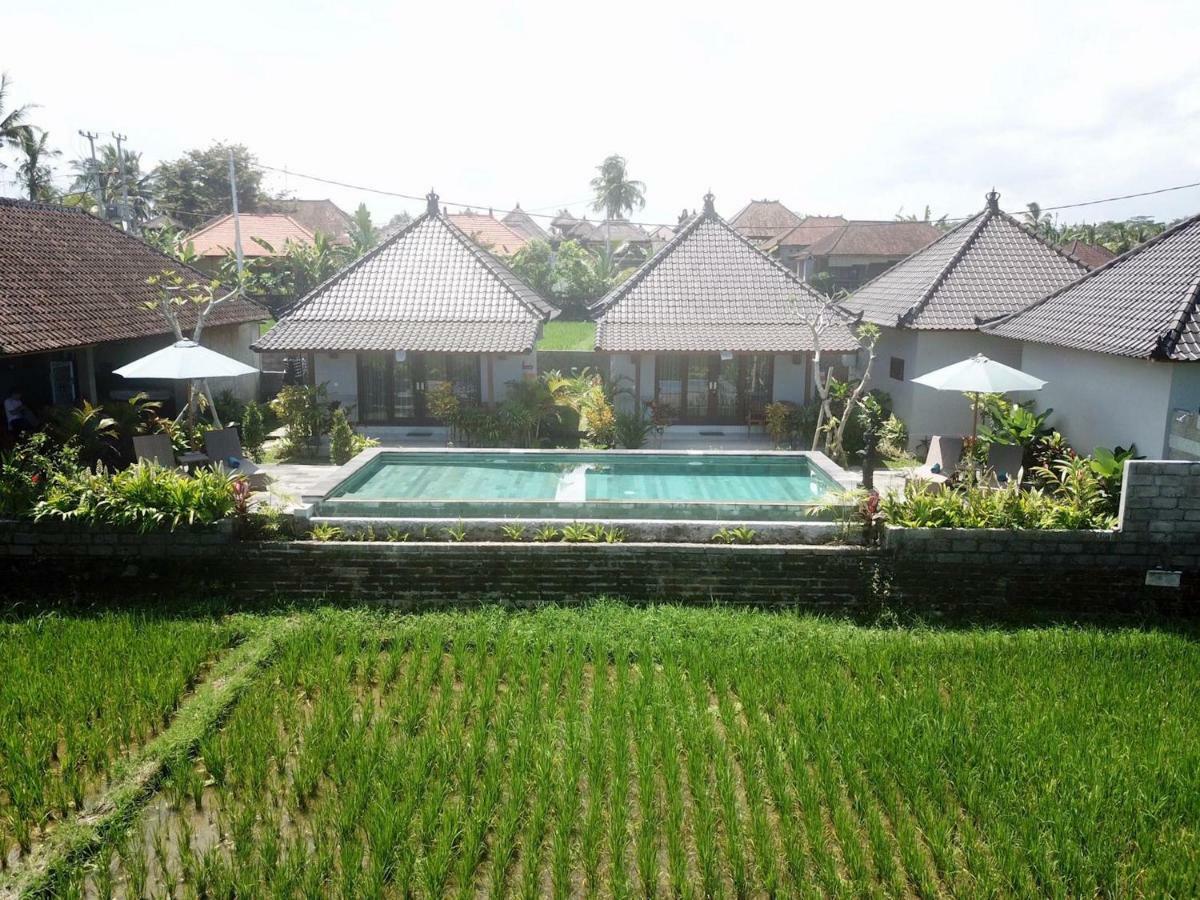 Paraiso 2* Ubud