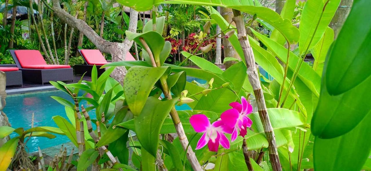 Bali Harmony *