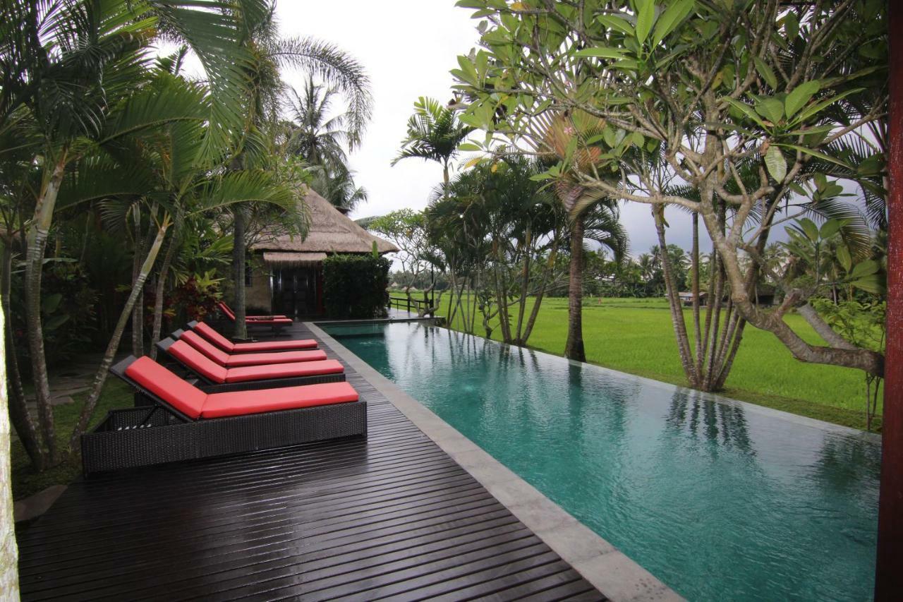 Bali Harmony * Ubud
