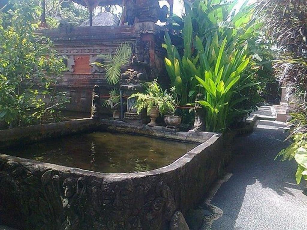 Citrus Tree - Hutama * Ubud (Bali)