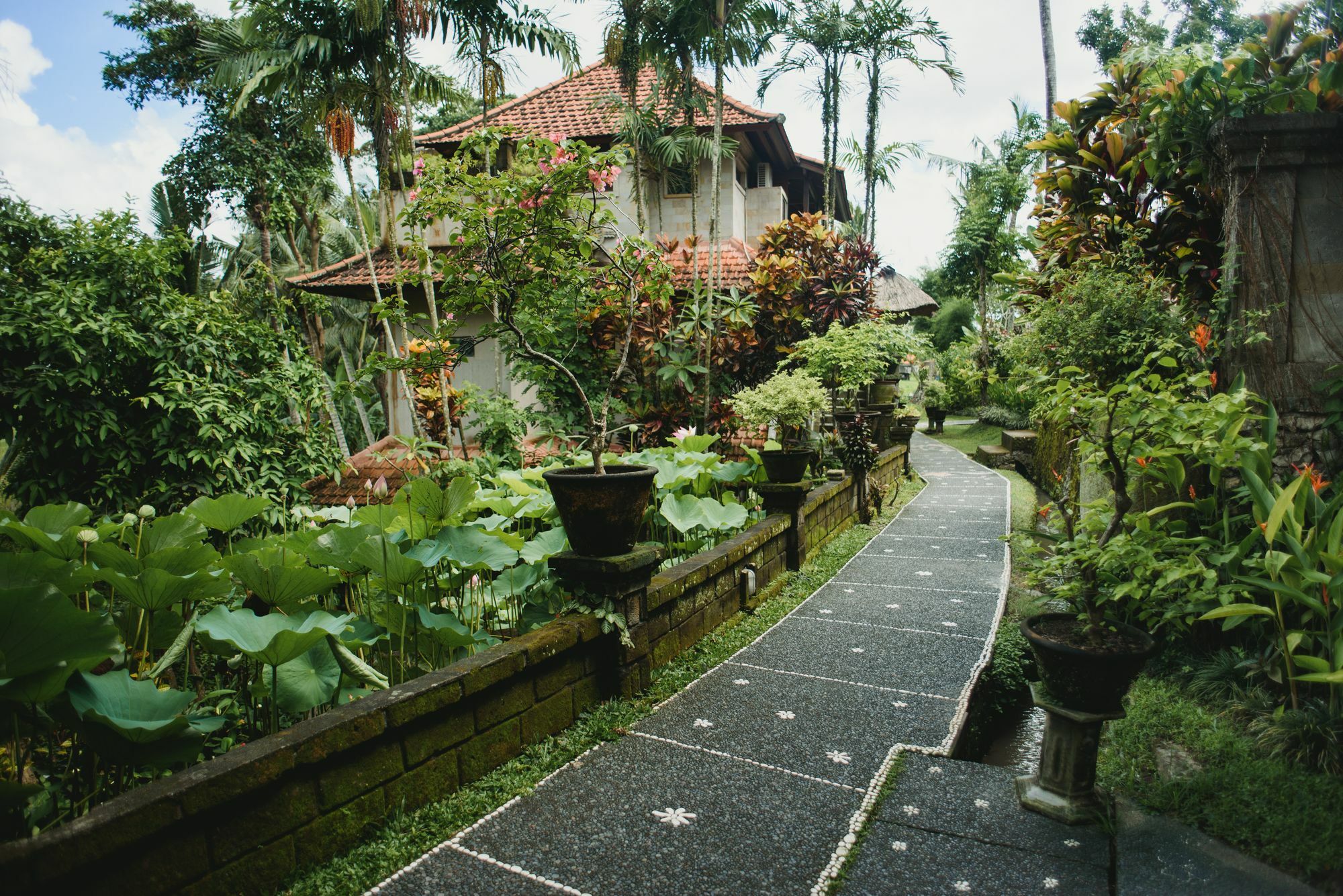 Alam Jiwa Ubud