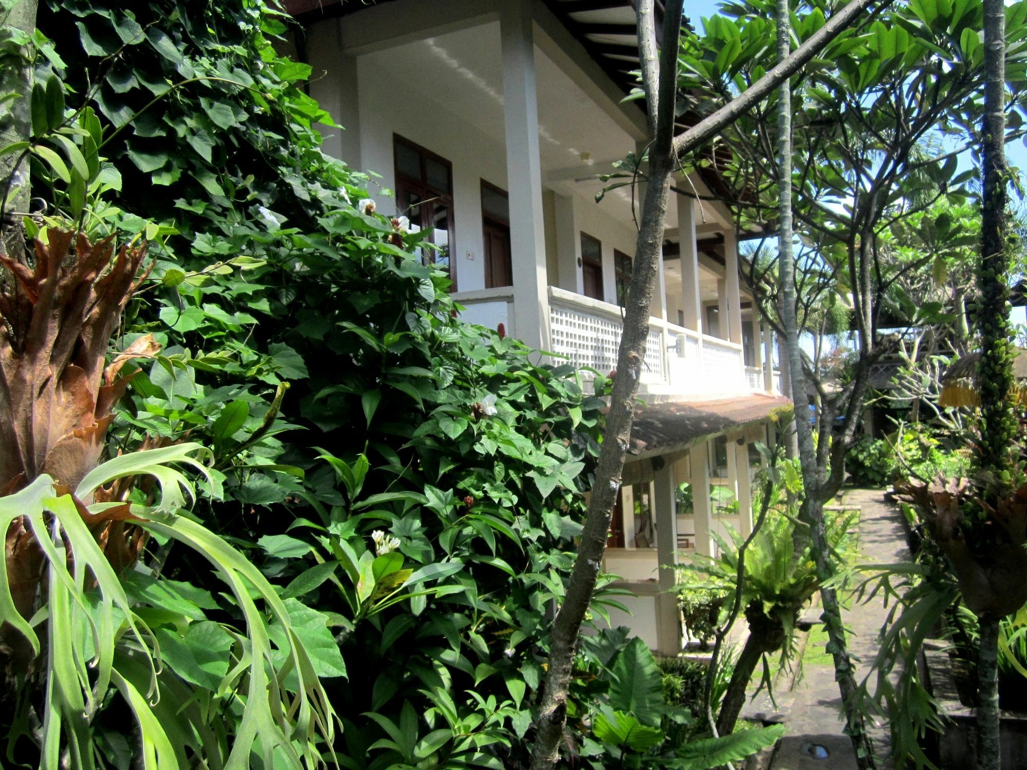 Hotel Casa Ganesha