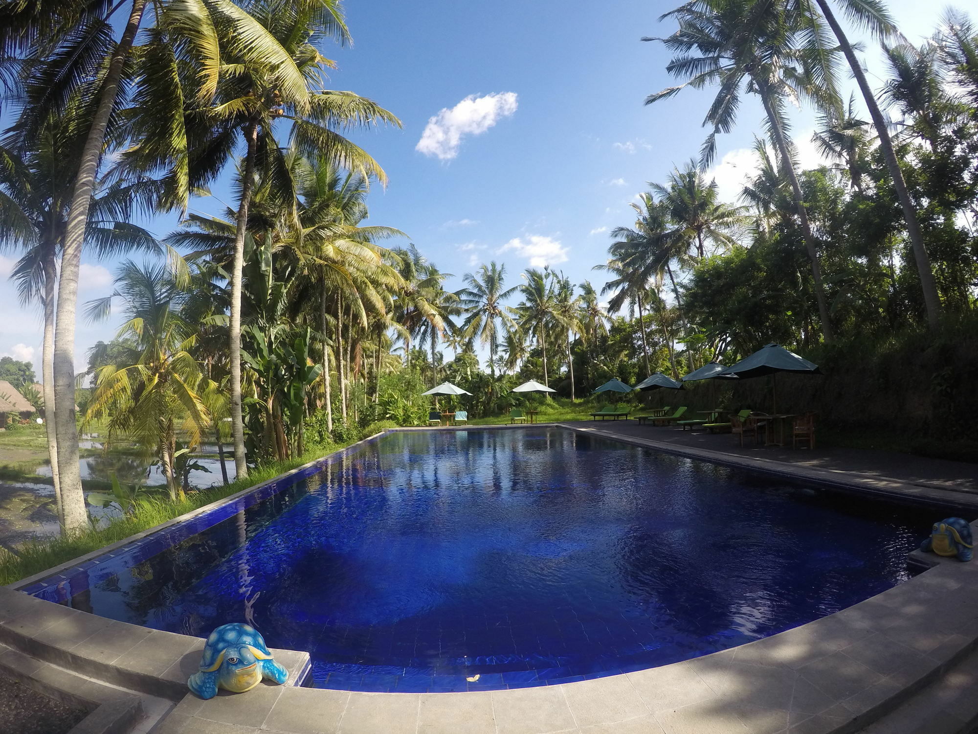 Serenity House Ubud Bali 2* Ubud (Bali)