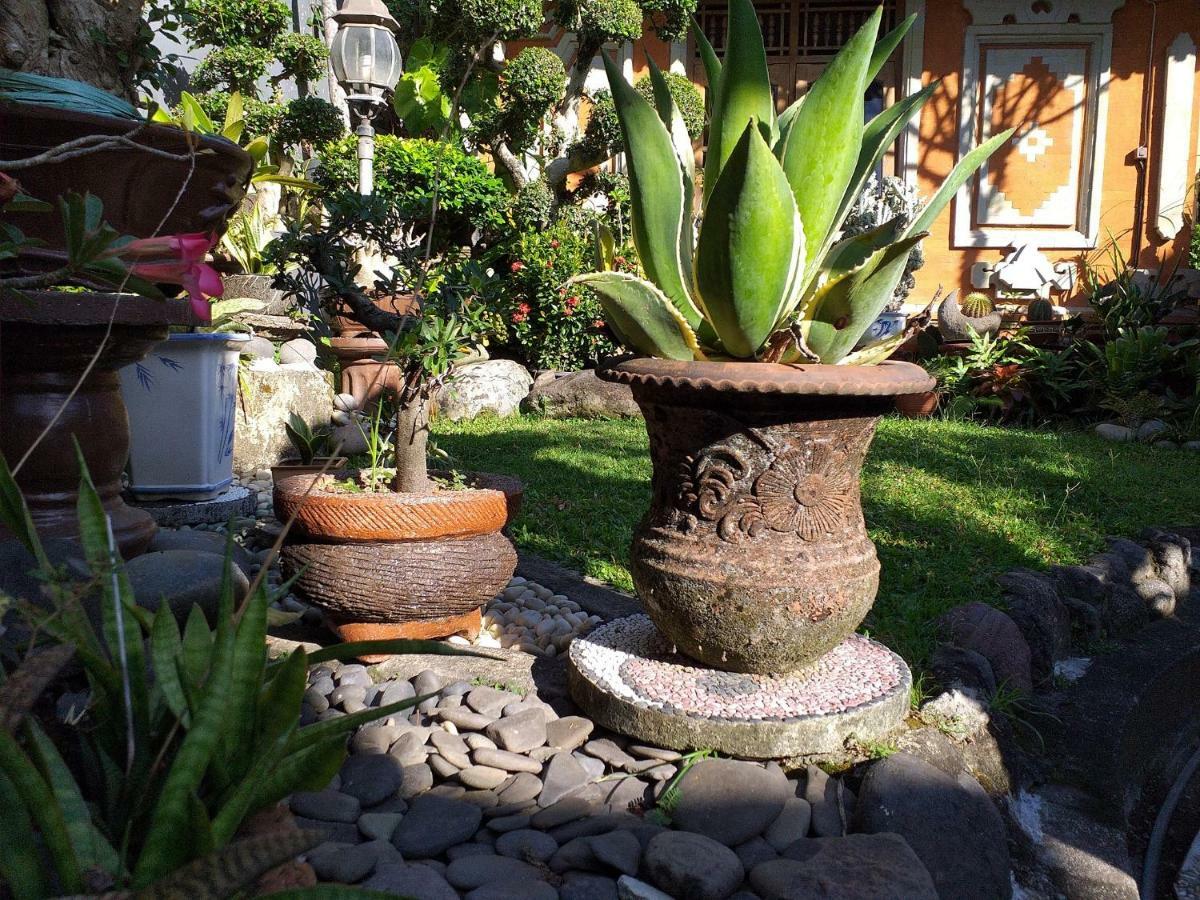 Puri Asri Guest house Ubud (Bali)
