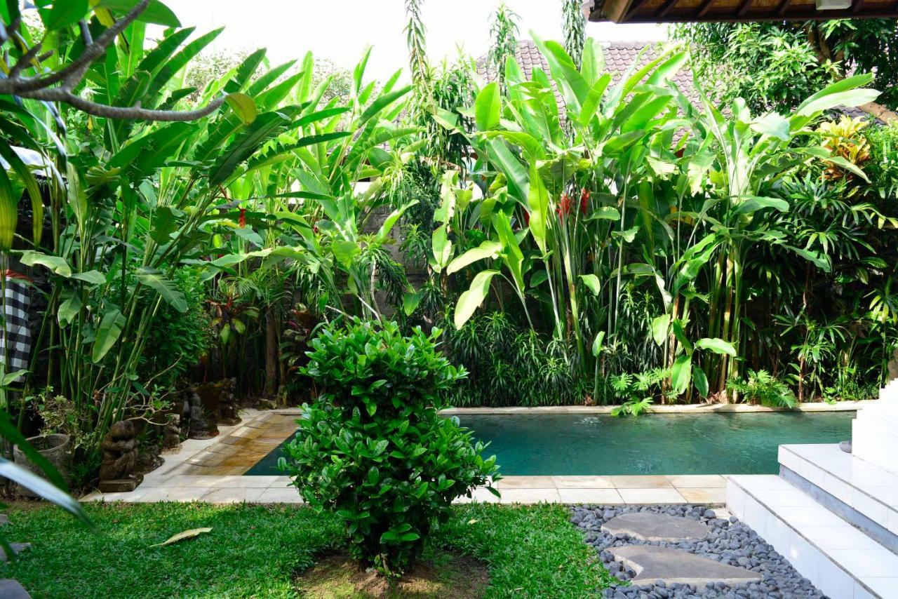 Sofia Ubud (Bali)