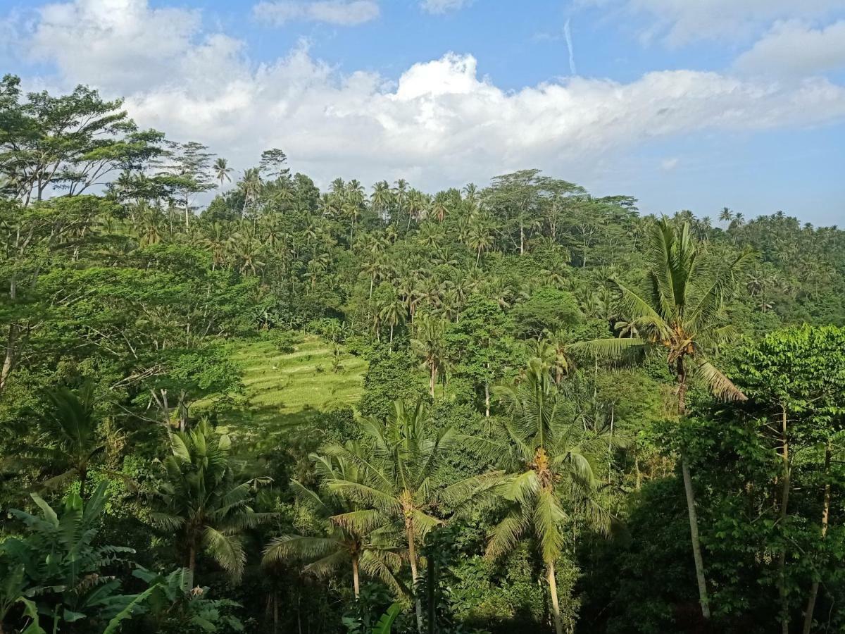 Tirta Asri Holiday park Ubud (Bali)