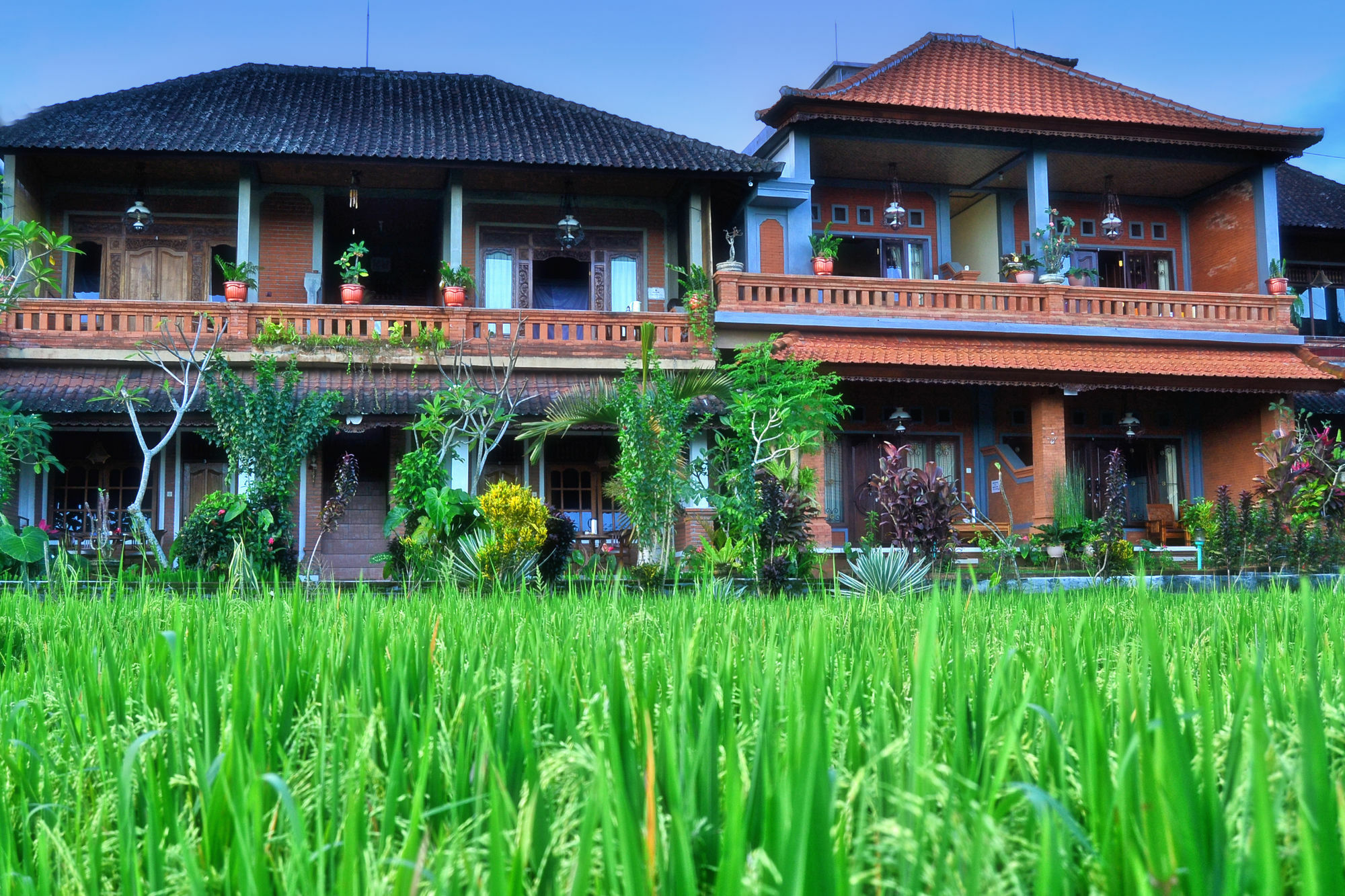 Danasari Homestay Guest house 2*