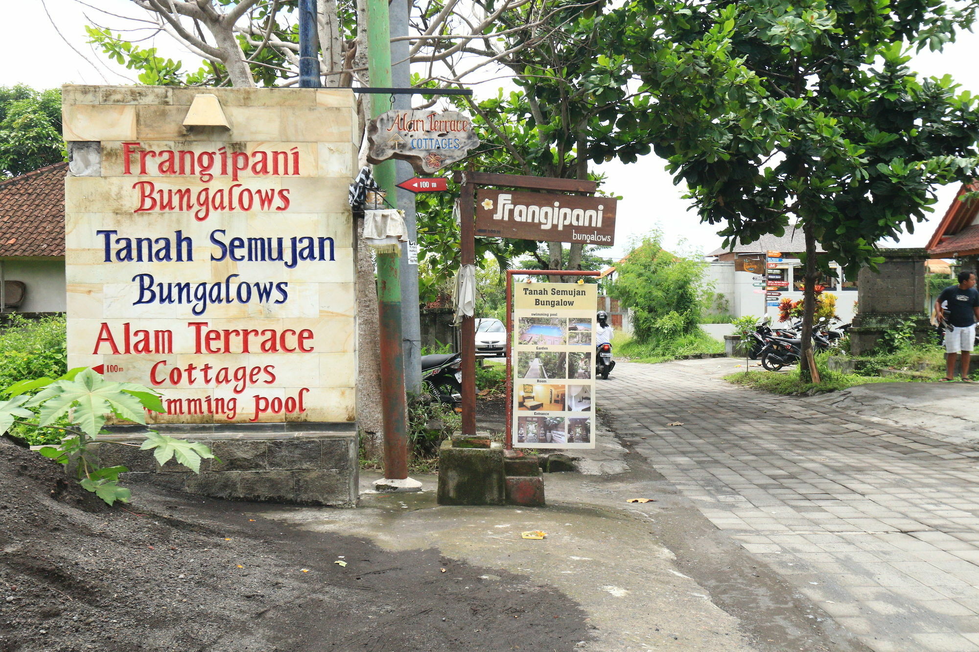 Frangipani *