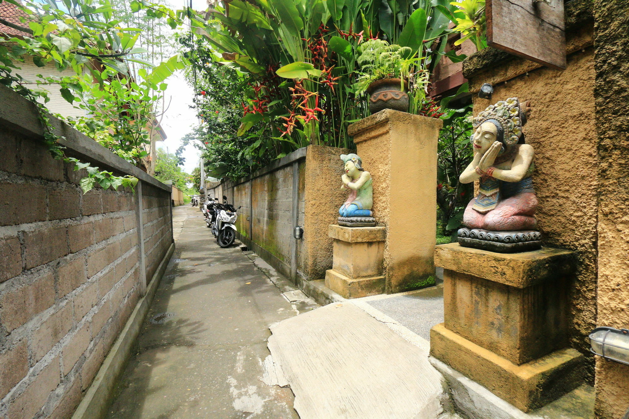 Guest house Frangipani *