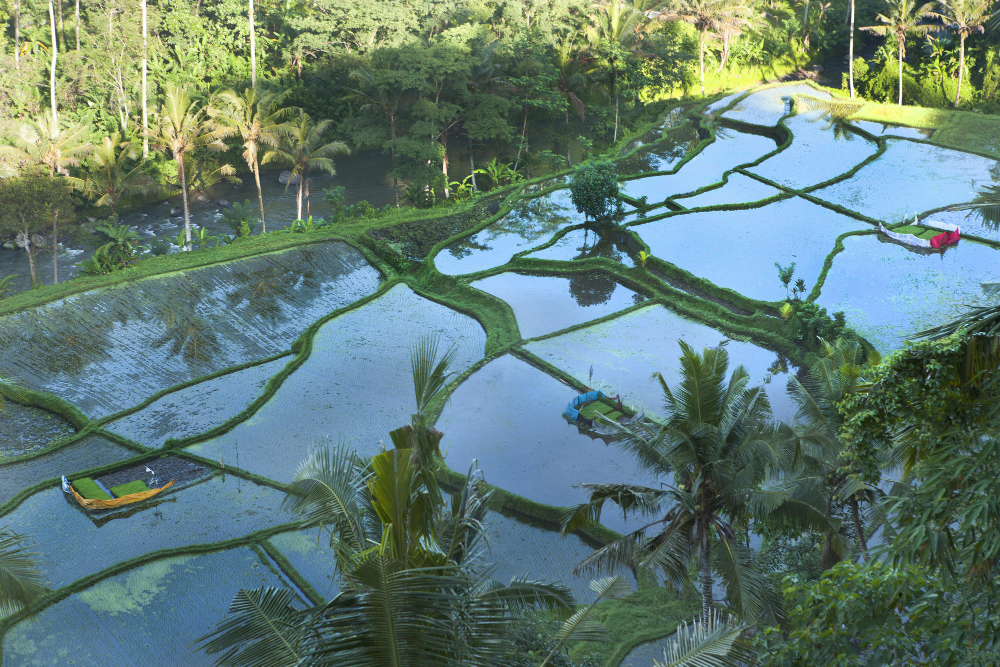 Umah Tampih Luxury Private - Chse Certified Ubud (Bali)