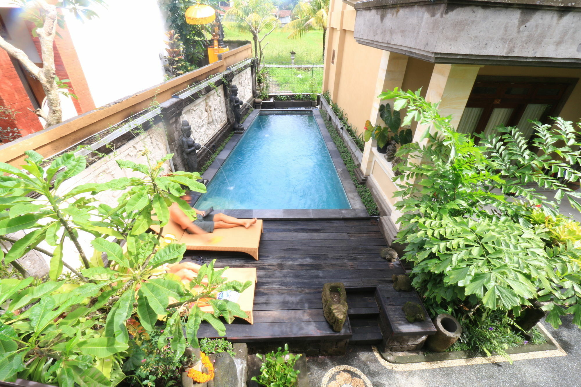 Frangipani Guest house *