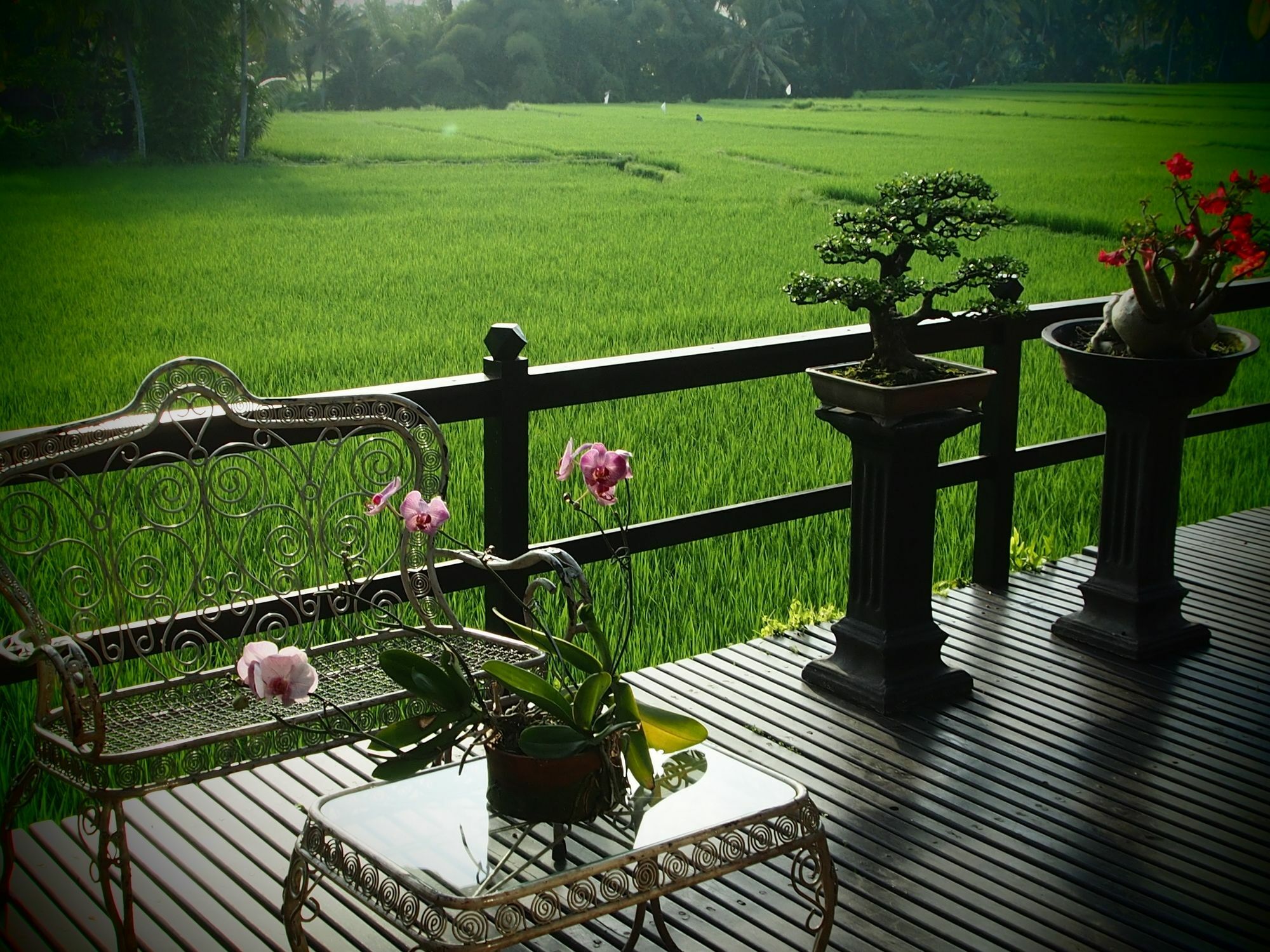 Campo de férias Lodtunduh Sari 4*