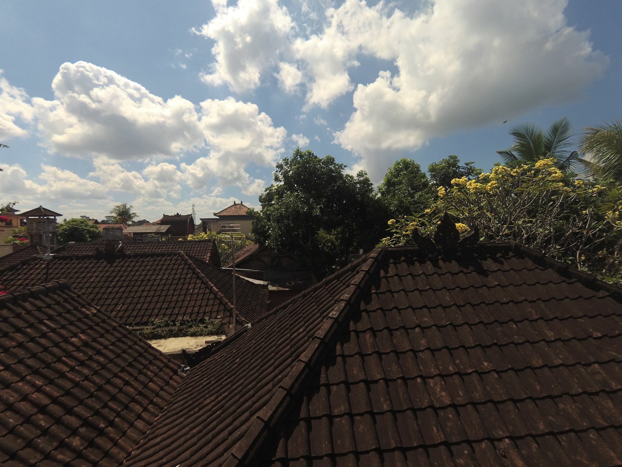 Rumah Ary & Privatunterkunft Ubud