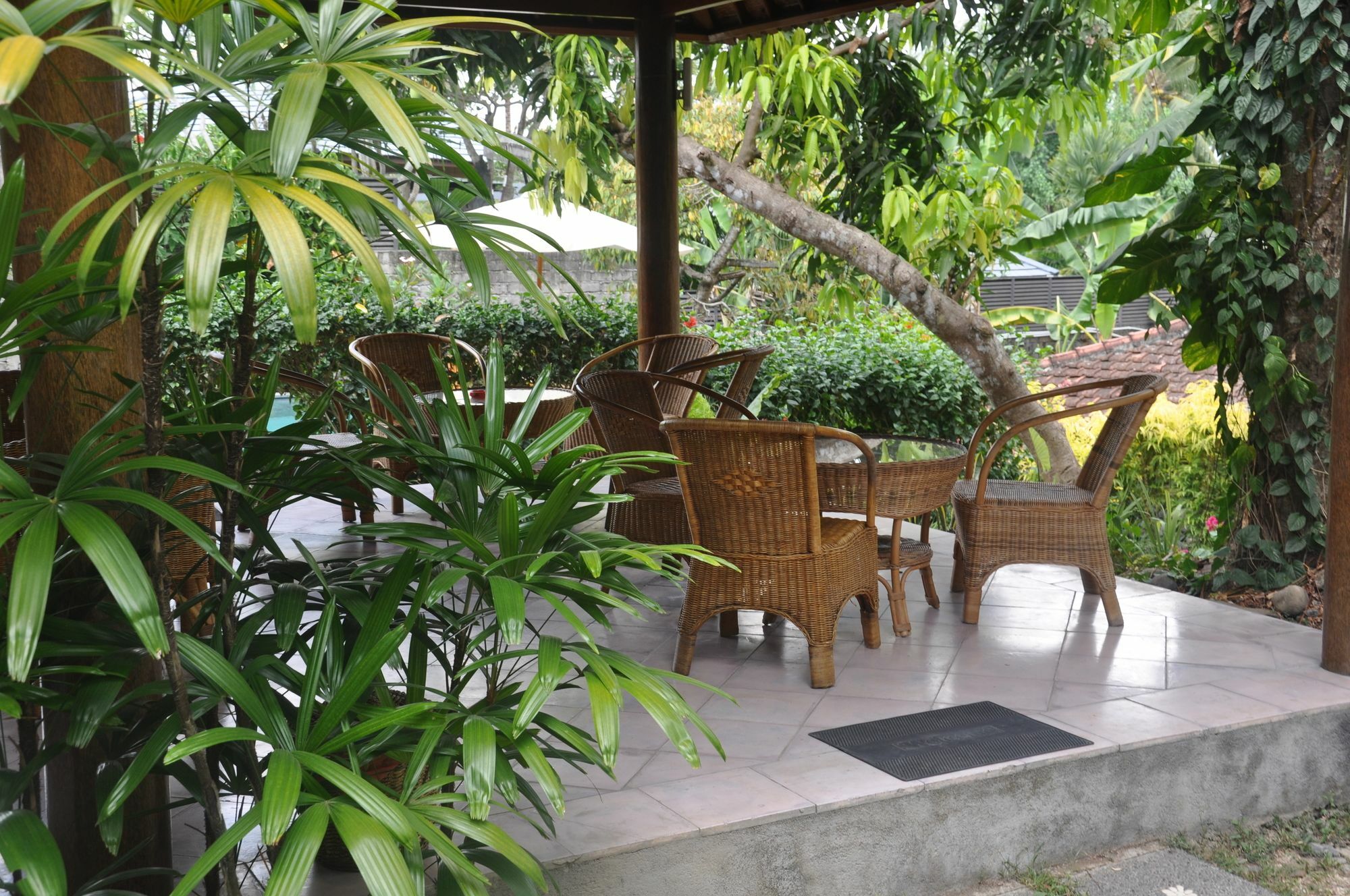 Argasoka Ubud (Bali)