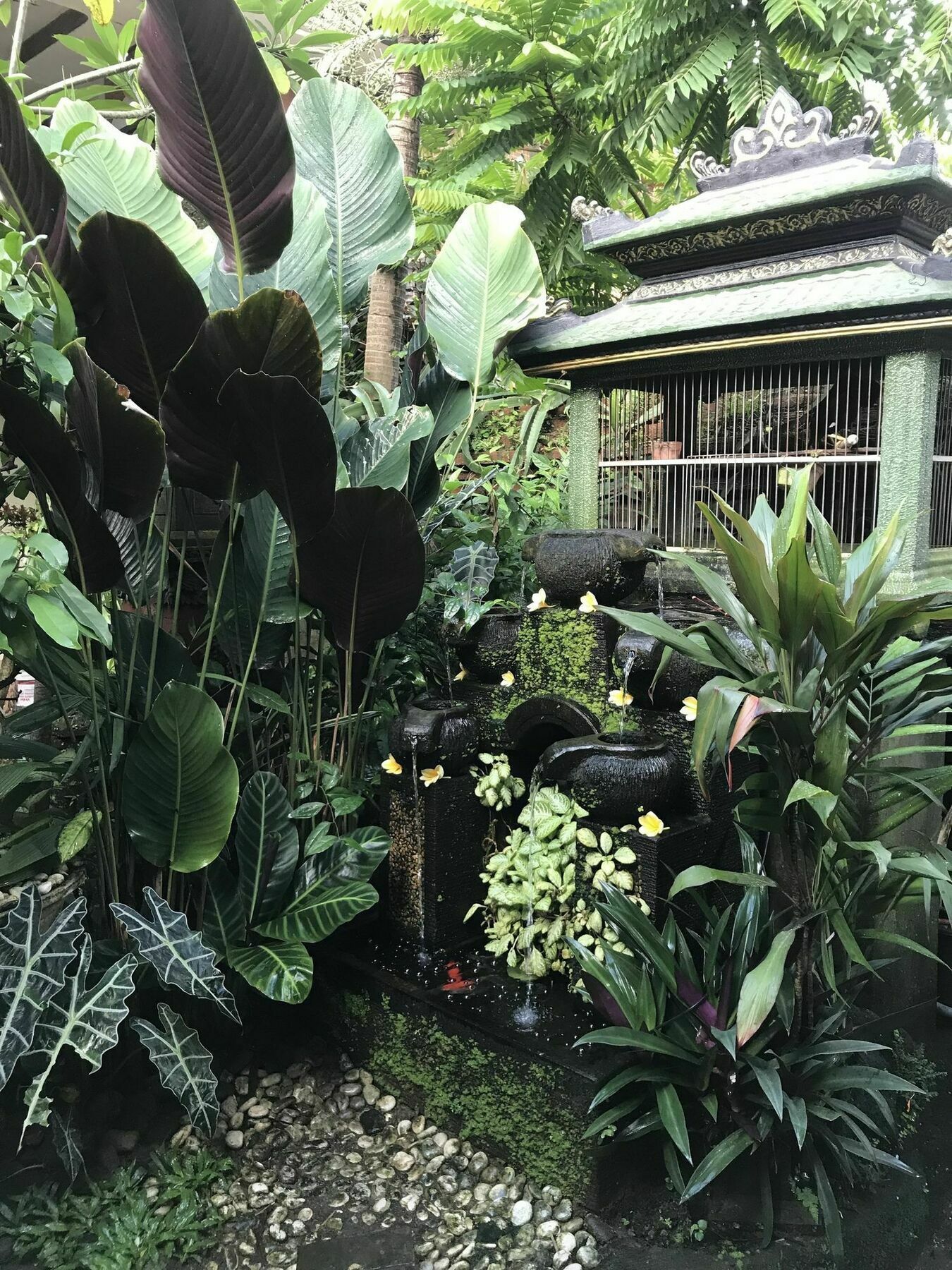 Kacu Ubud Inn 3* Ubud (Bali)