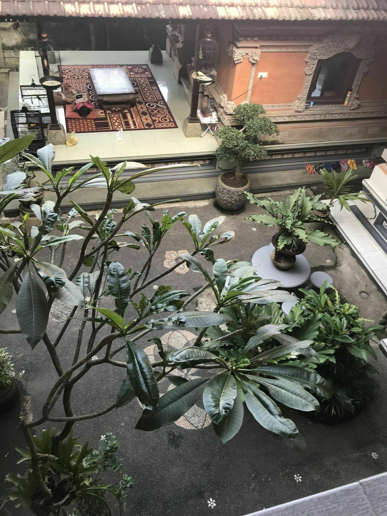 Kacu Ubud Inn 3* Ubud (Bali)