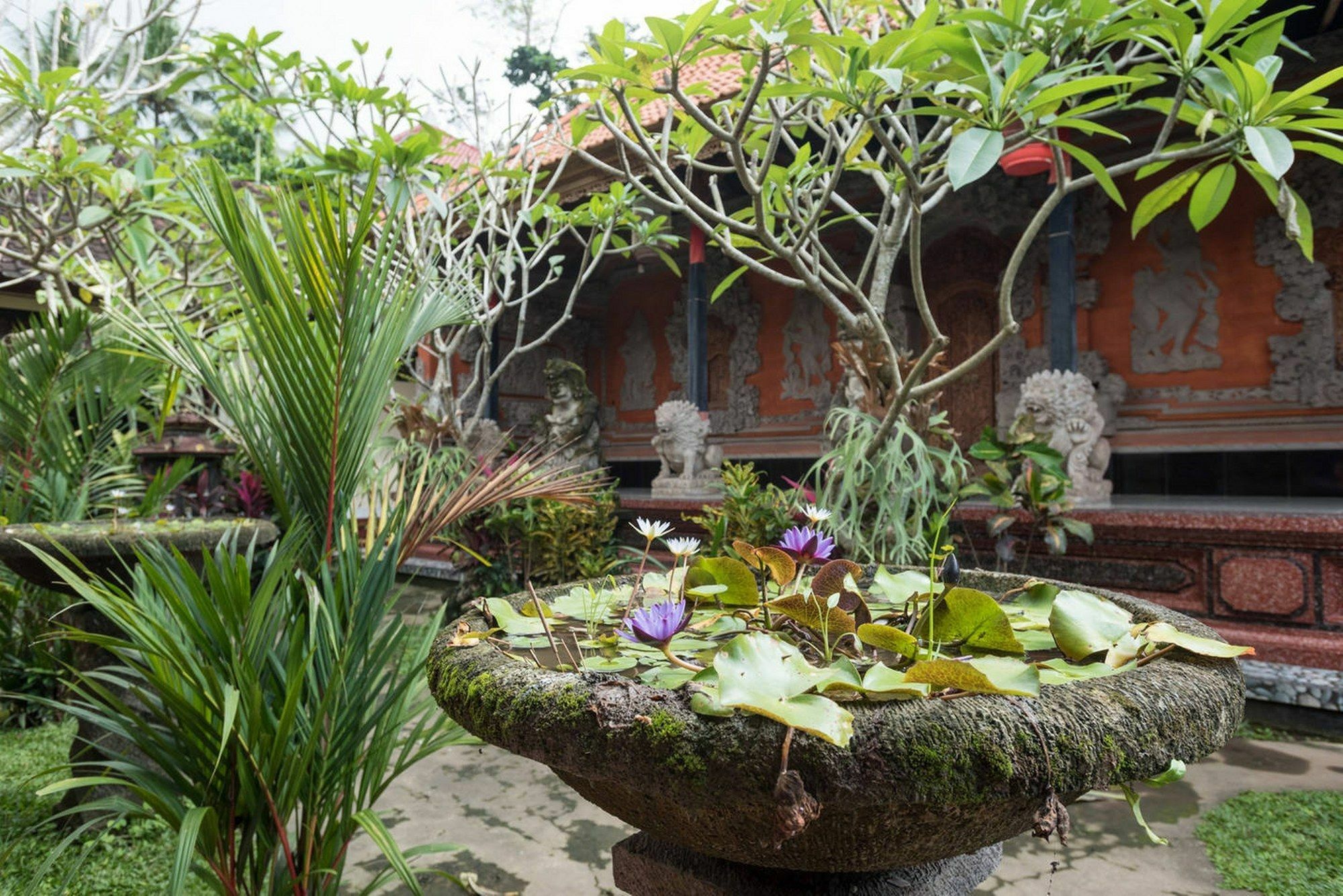 Alam Pracetha Bali 3* Ubud (Bali)