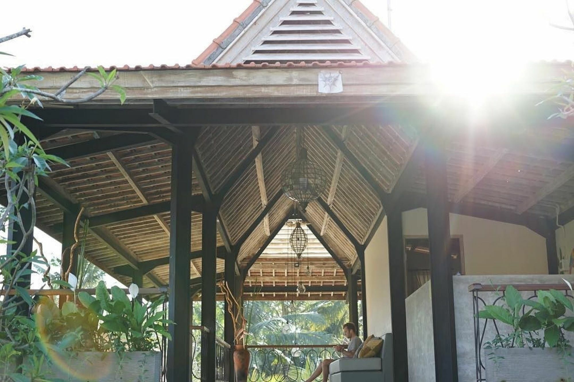 Tropical Hostel