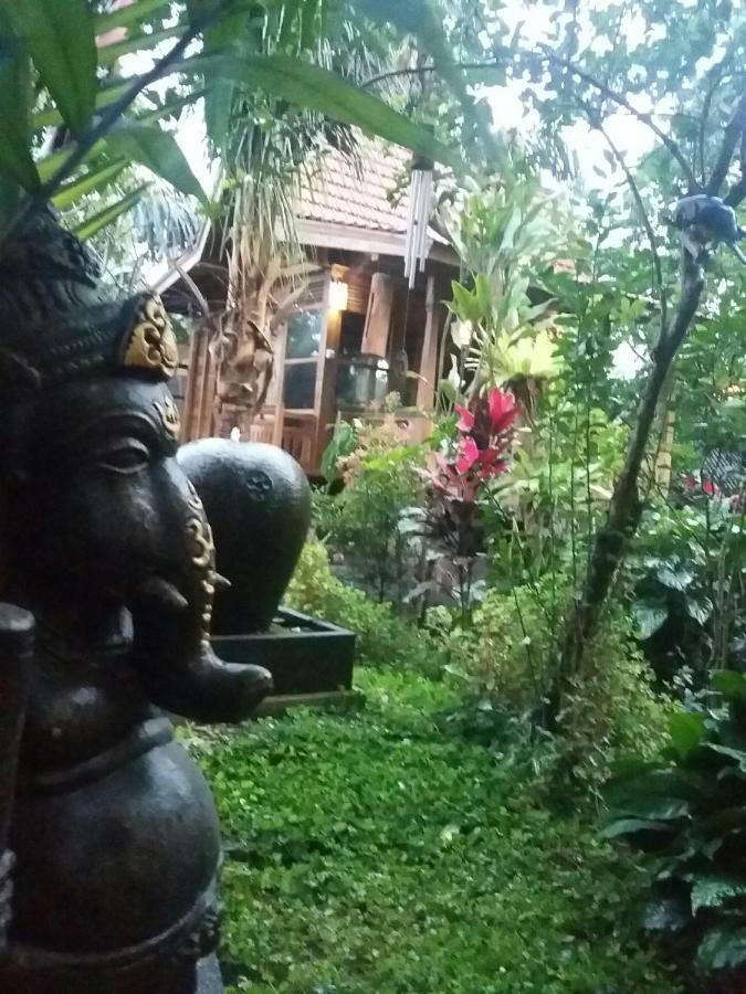 Bali 68 Guest house Ubud (Bali)