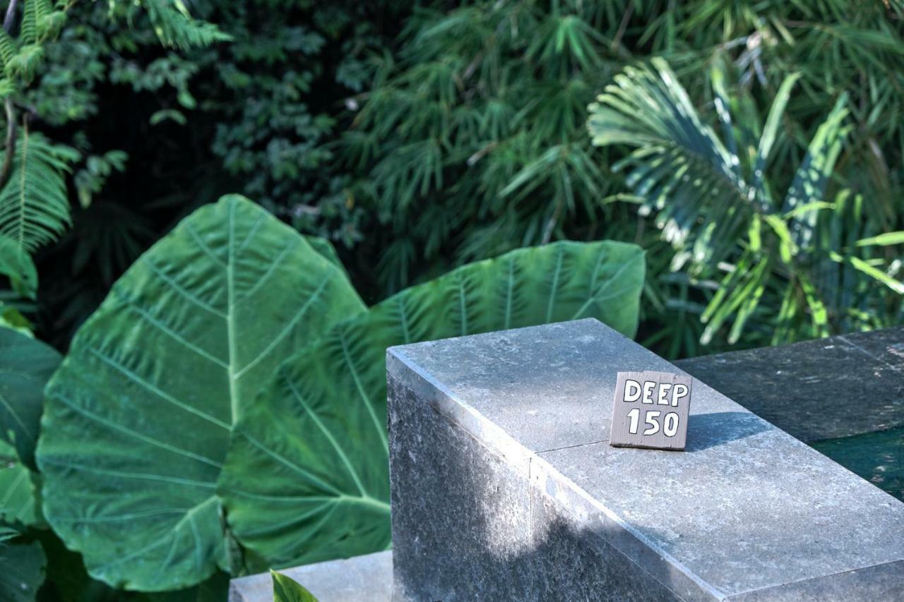 Gek House Bali 2* Ubud (Bali)