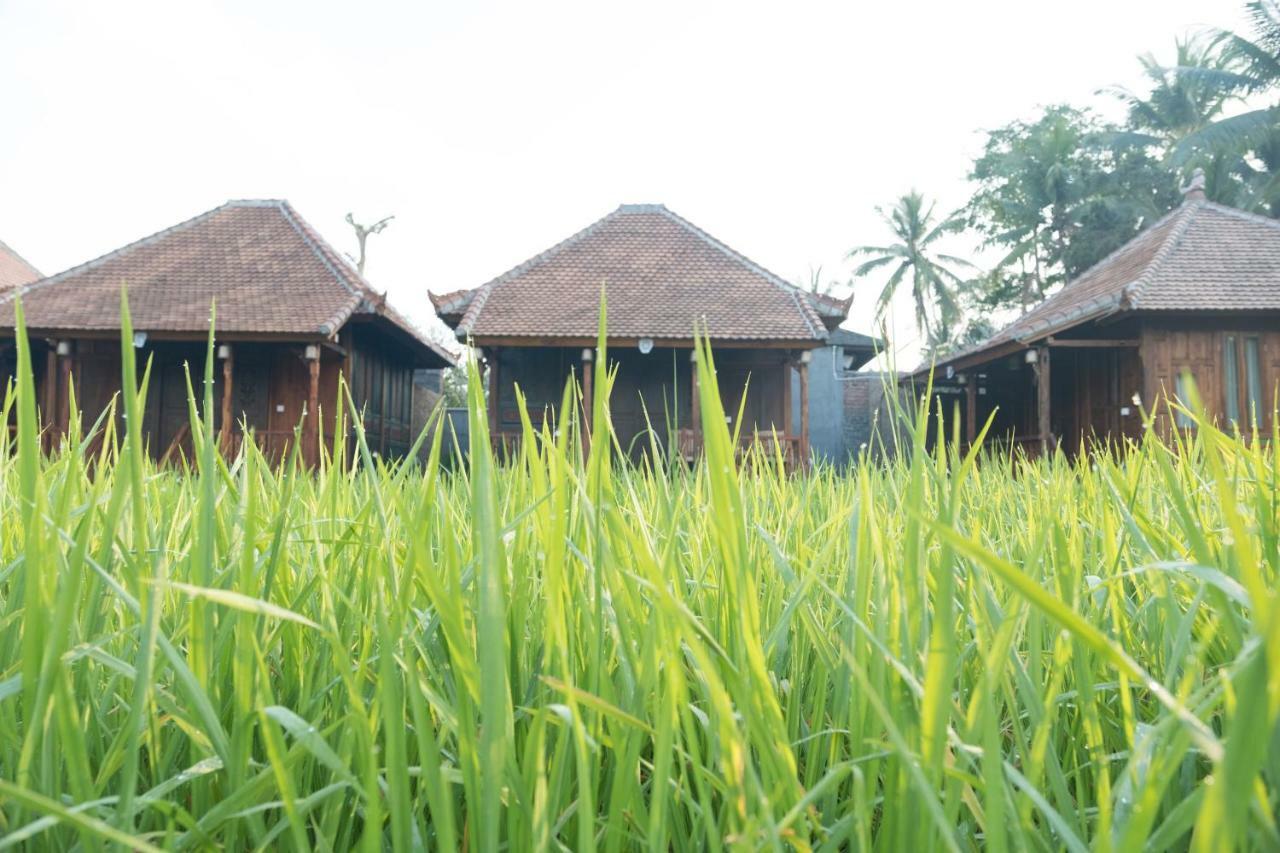 Uma Lanne - A Wooden Hideway Villas Ubud (Bali)