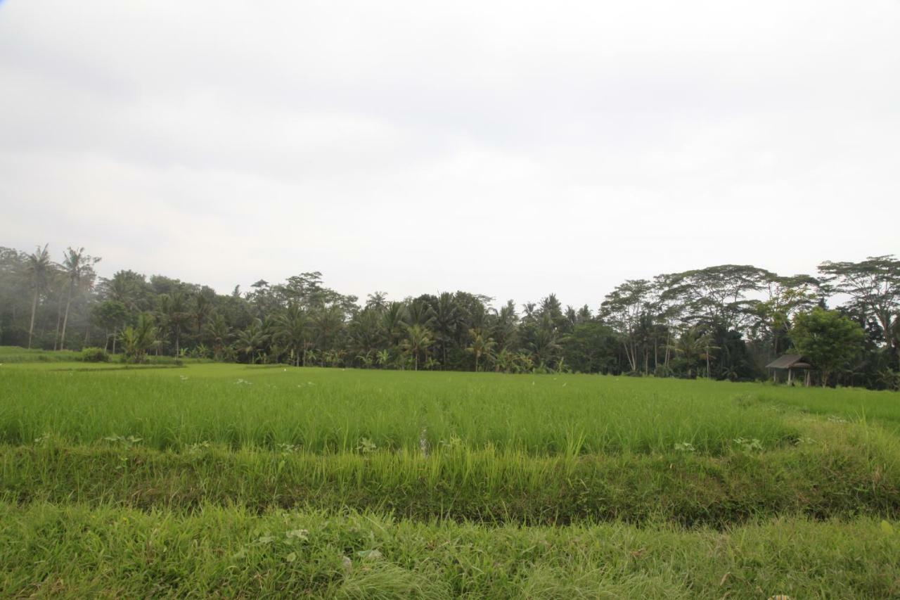 Gepokan Wisma tamu 2*