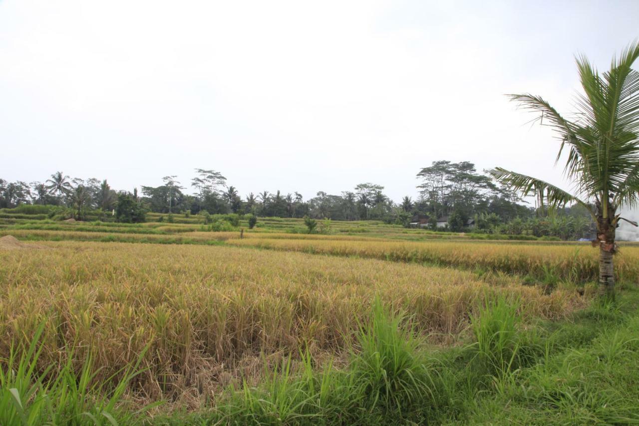 Gepokan Ubud (Bali)