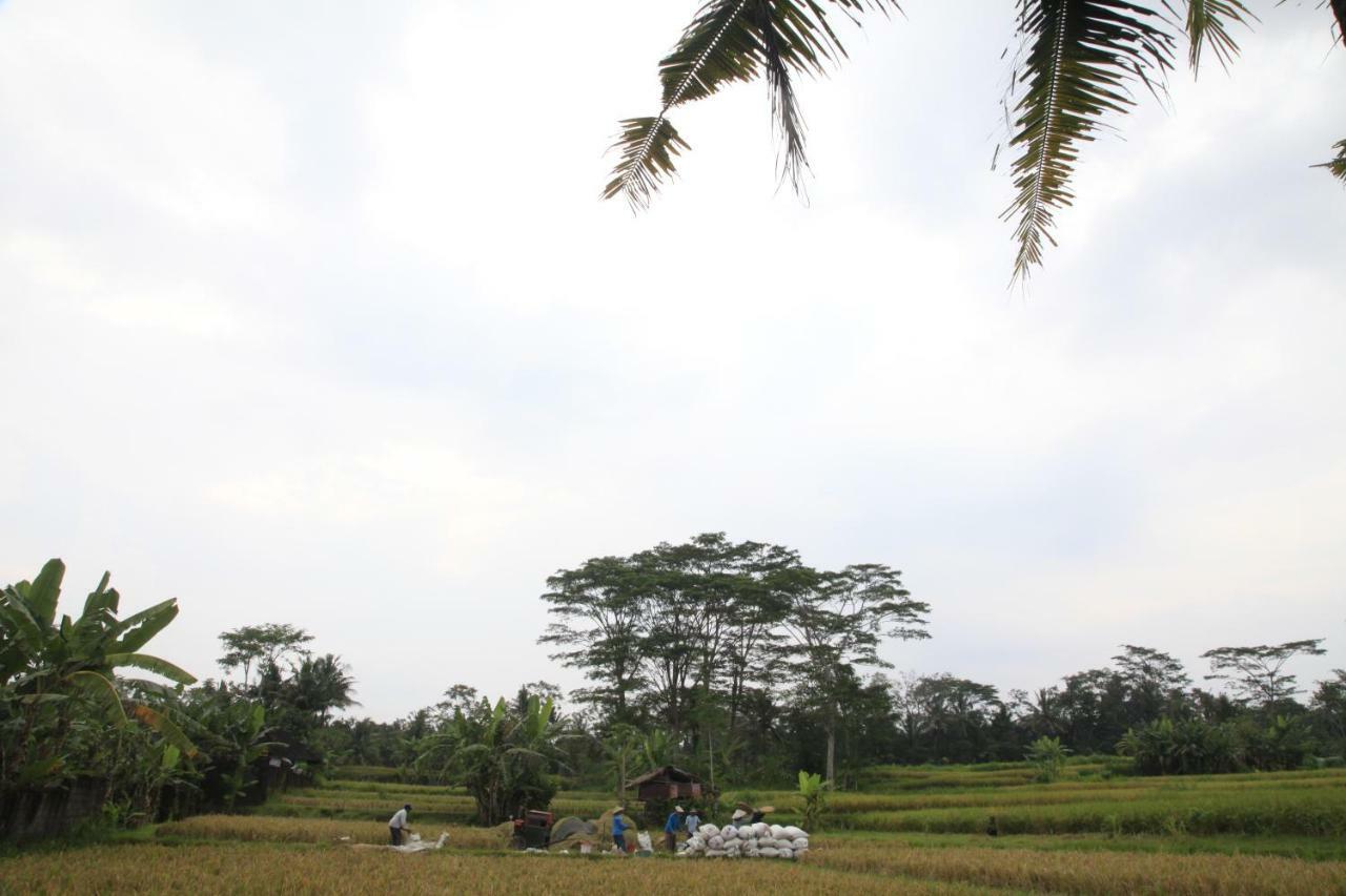 Gepokan Wisma tamu Ubud (Bali)