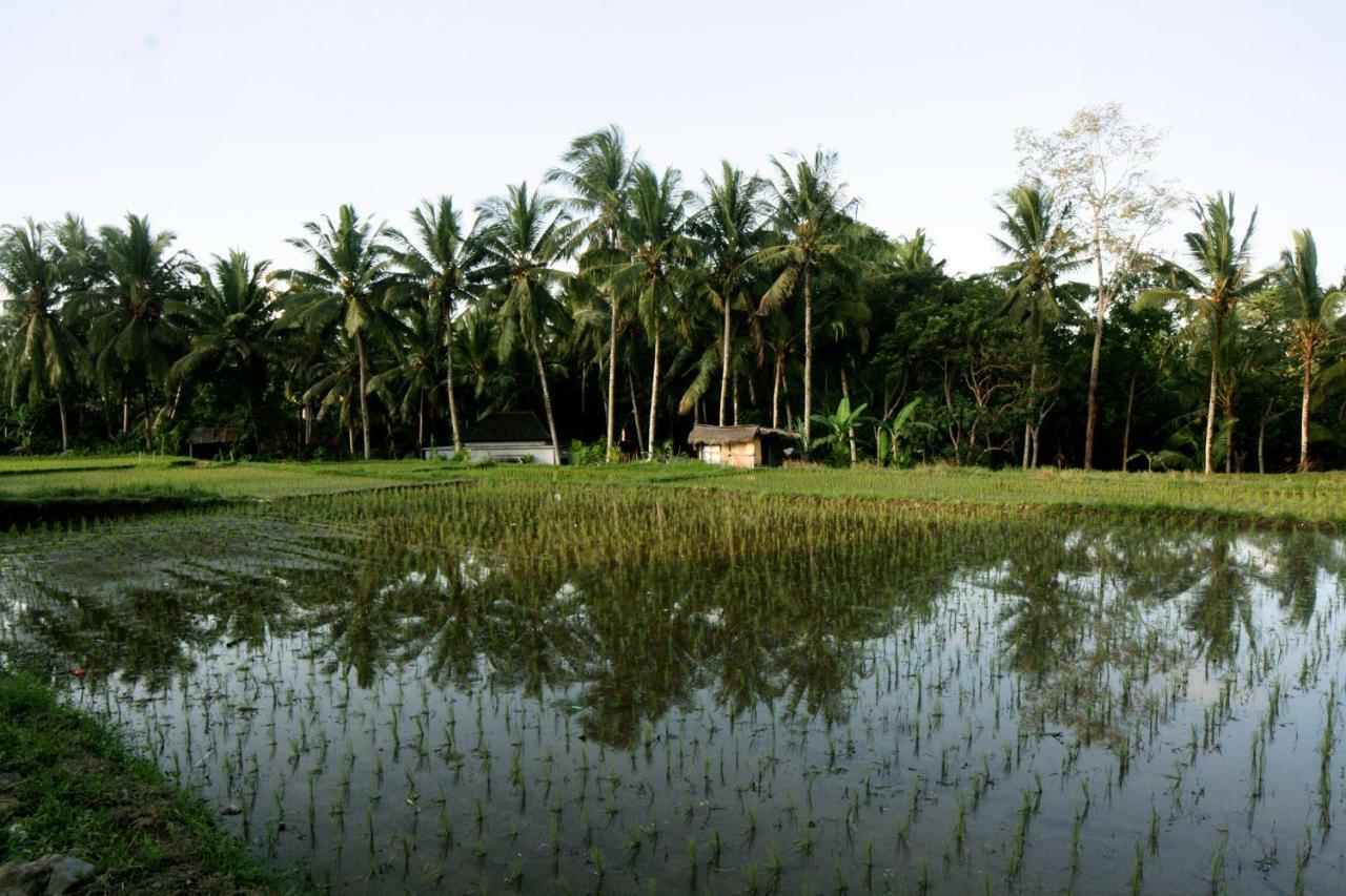 Artist Eco In Bali Pousada