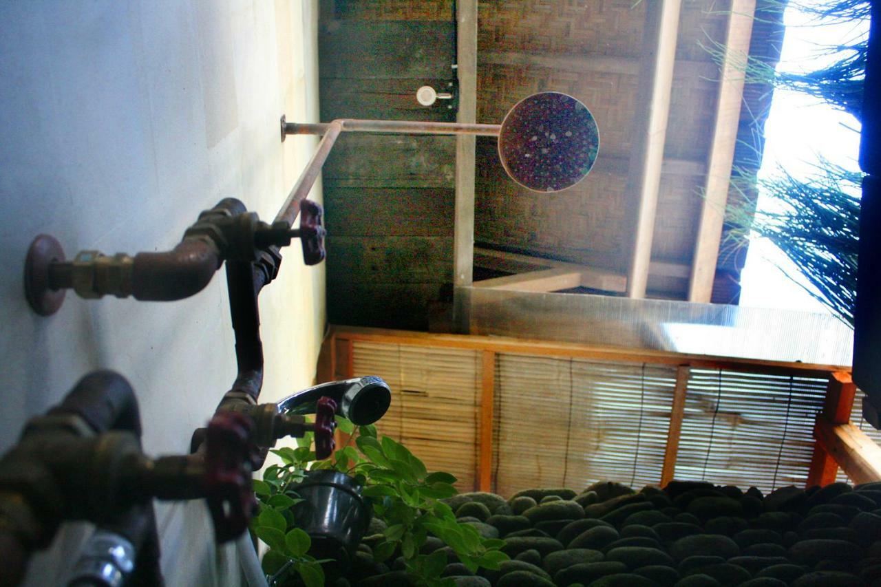 Artist Eco In Bali Ubud