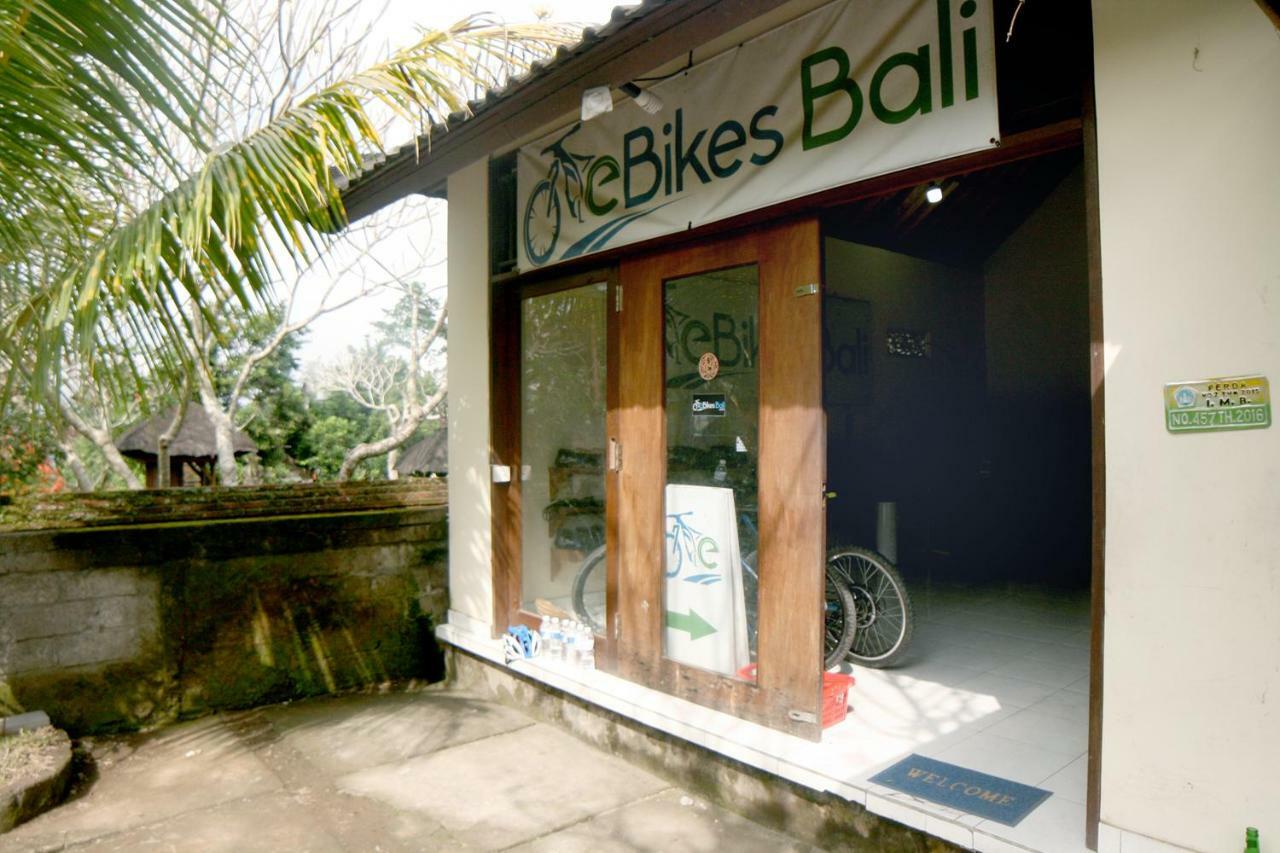 Pousada Artist Eco In Bali *