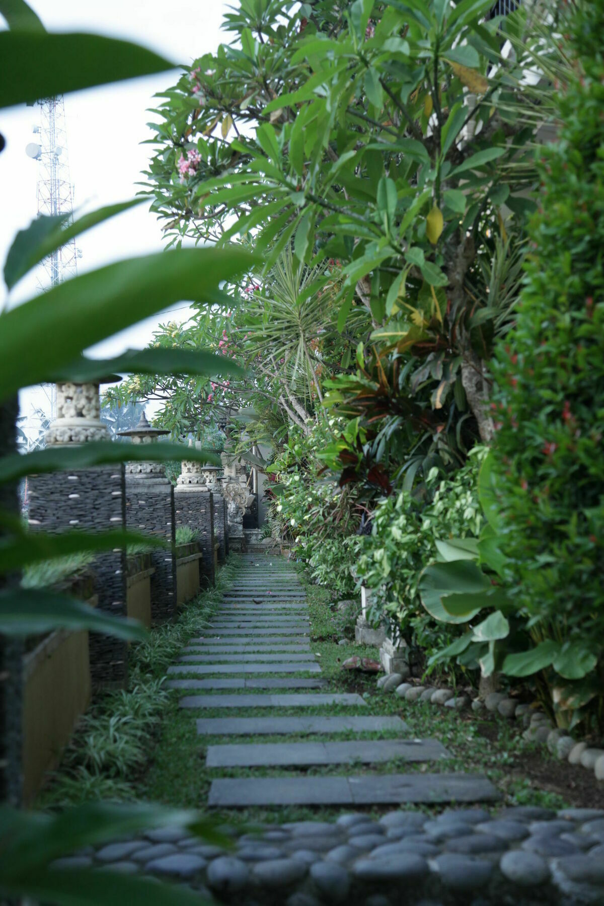 Kubu Soca * Ubud